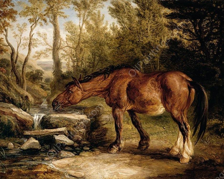A Horse Drinking at a Stream by James Ward - Hand-Painted Oil Painting Reproduction