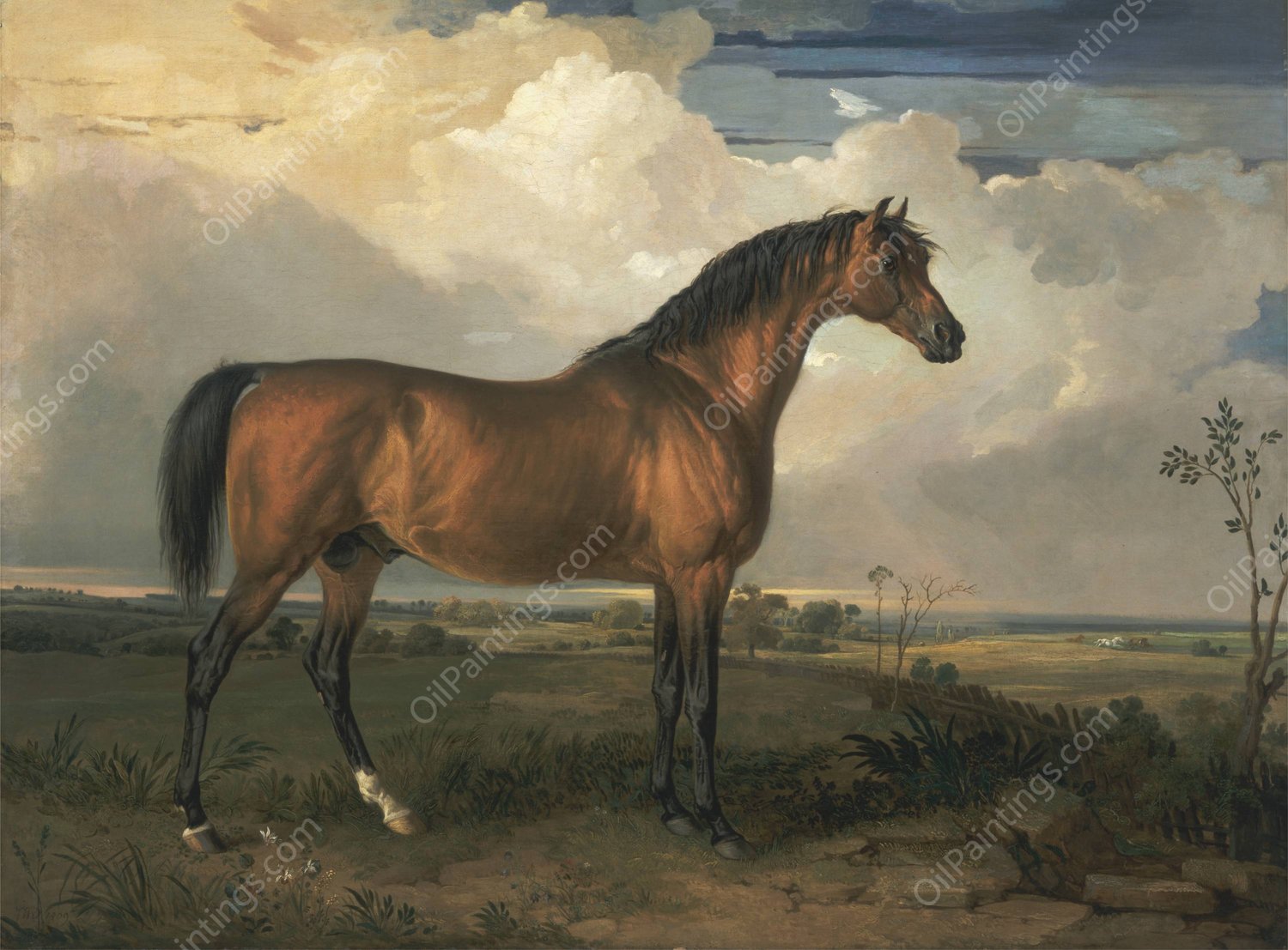 Eagle, a Celebrated Stallion  by James Ward - Hand-Painted Oil Painting Reproduction