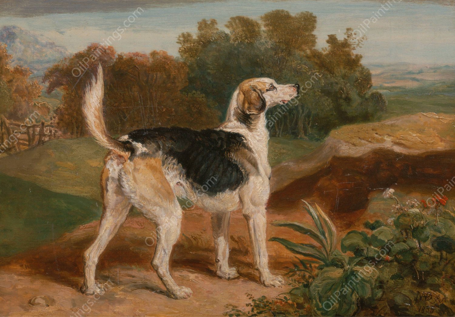 Ravager, One of the Lambton Hounds  by James Ward - Hand-Painted Oil Painting Reproduction