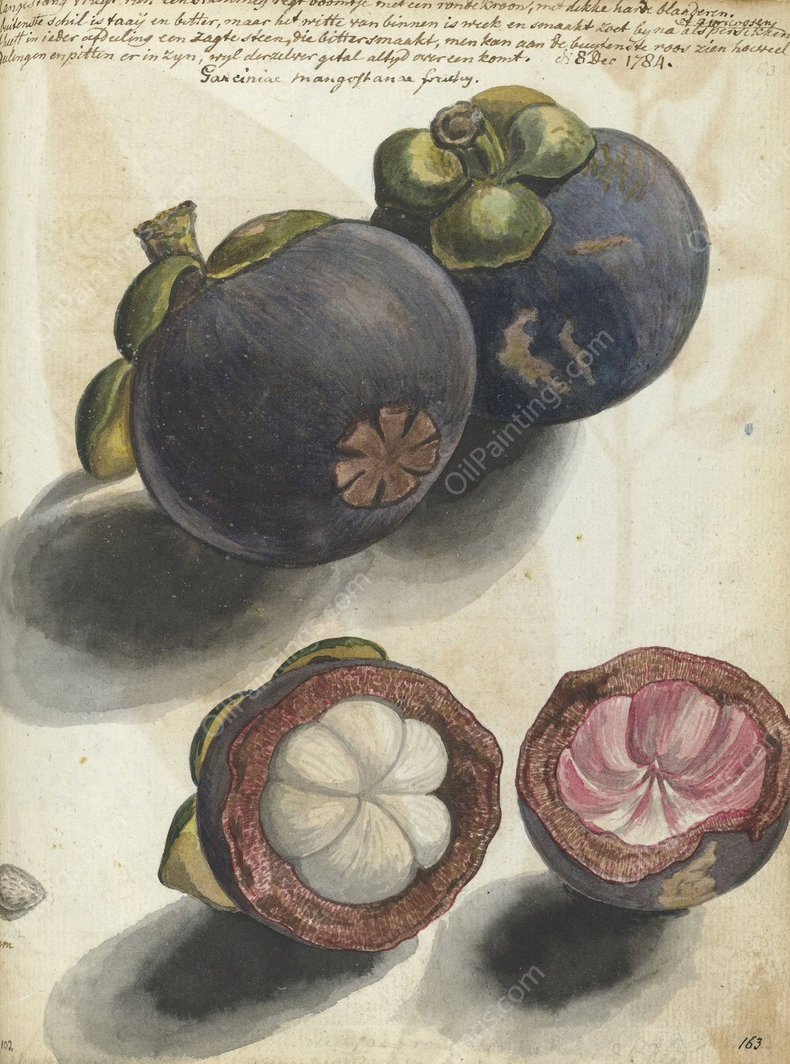 Manggistan  by Jan Brandes - Hand-Painted Oil Painting Reproduction