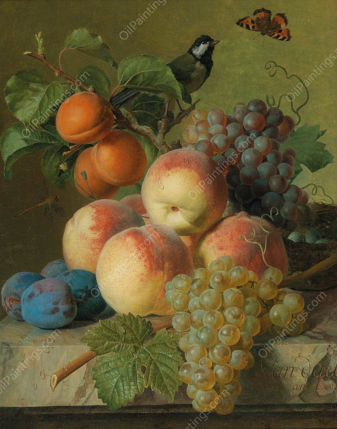 Still life of peaches, grapes and plums on a stone ledge with a bird and a butterfly by Jan Frans Van Dael - Hand-Painted Oil Painting Reproduction