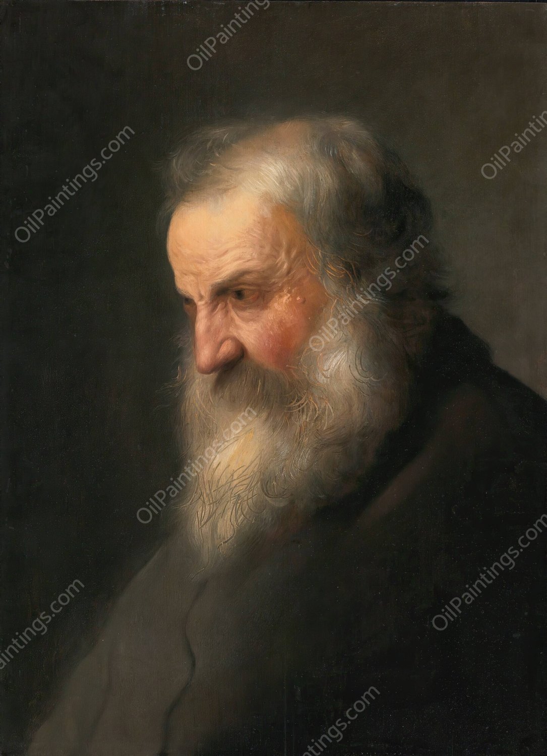 Head of An Old Man by Jan Lievens - Hand-Painted Oil Painting Reproduction