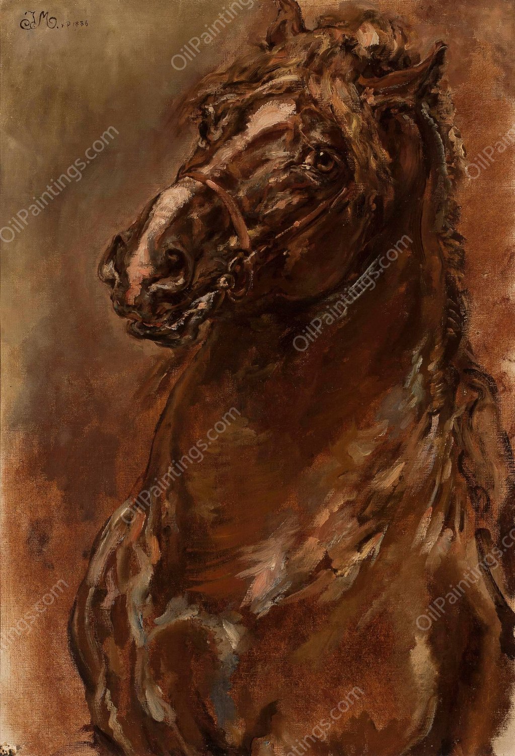 Study of horse's head for 'The Maid of Orleans'  by Jan Matejko - Hand-Painted Oil Painting Reproduction