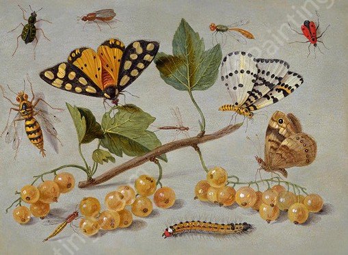 Butterflies and Insects by Jan Steen - Hand-Painted Oil Painting Reproduction