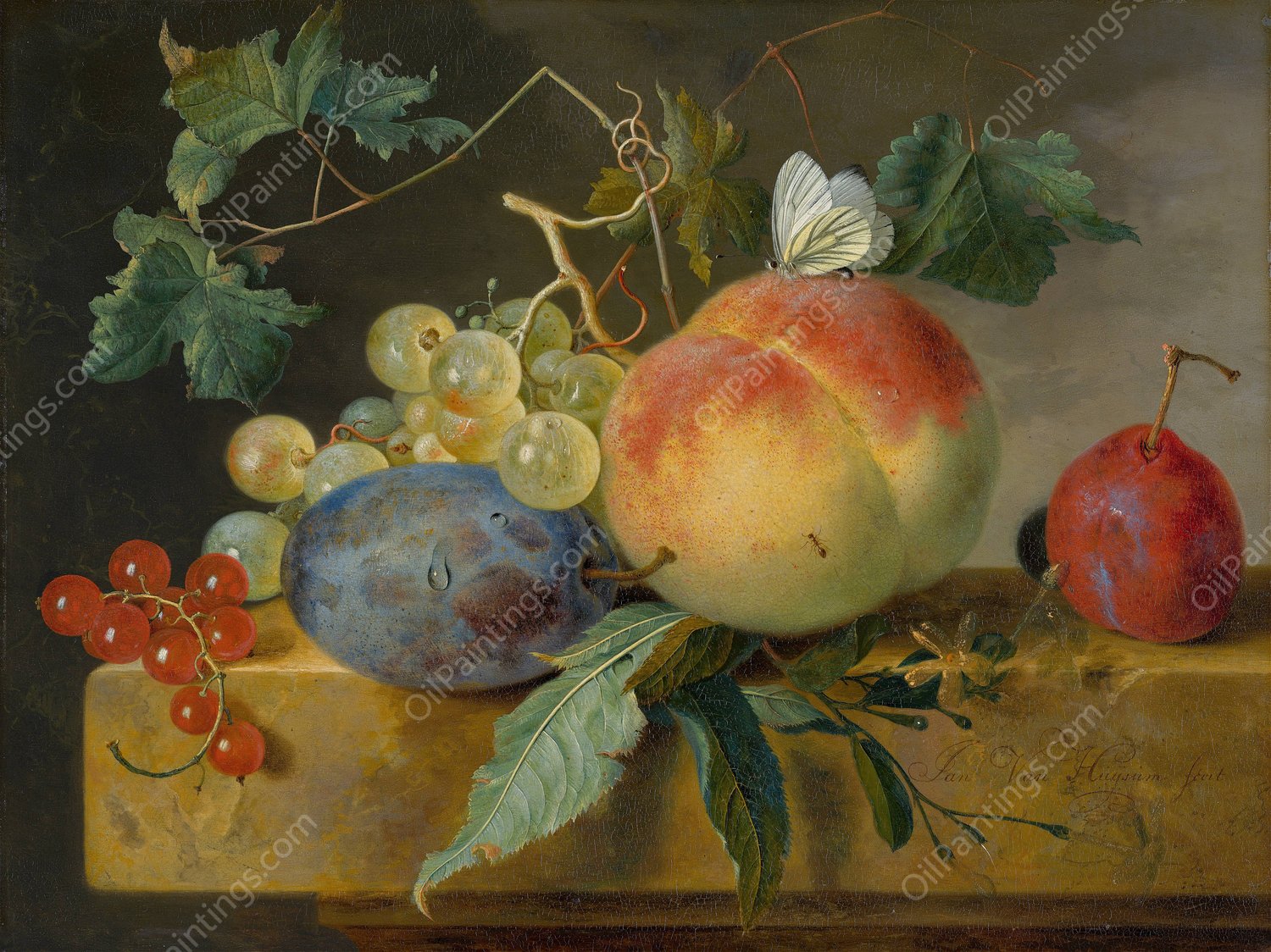 Fruit Still Life by Jan Van Huysum - Hand-Painted Oil Painting Reproduction