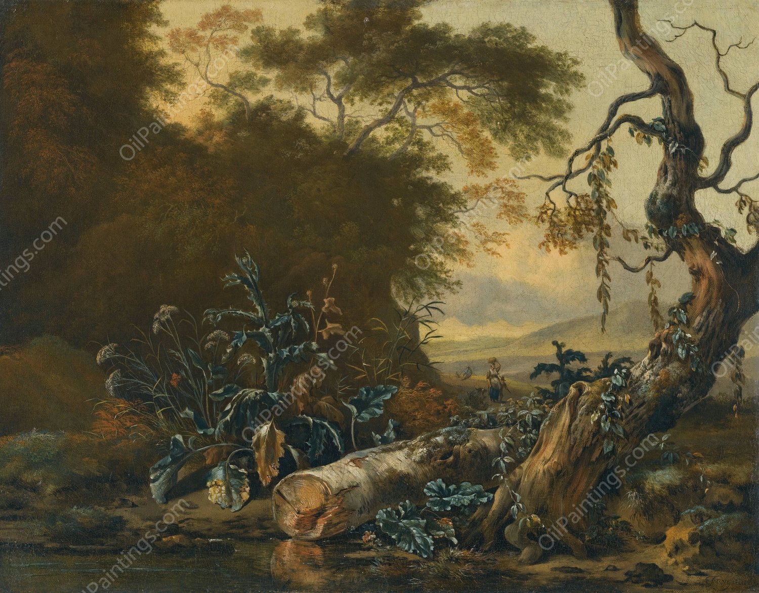 A Landscape With Trees And Foliage Beside The Edge Of A Pond by Jan Wijnants - Hand-Painted Oil Painting Reproduction