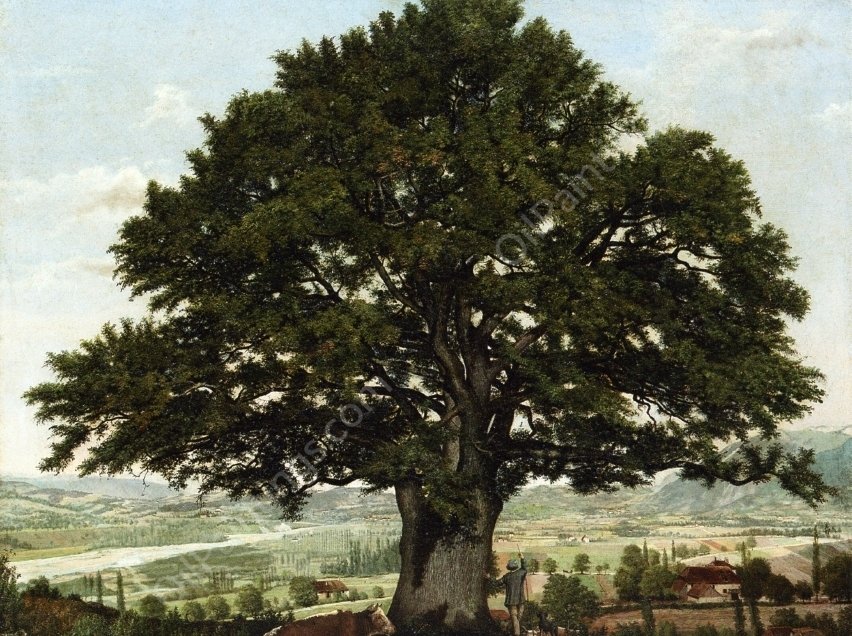 La Plaine dAnnecyu-Chene le Vaterant des Alpes by Jean-Jacques Rousseau - Hand-Painted Oil Painting Reproduction