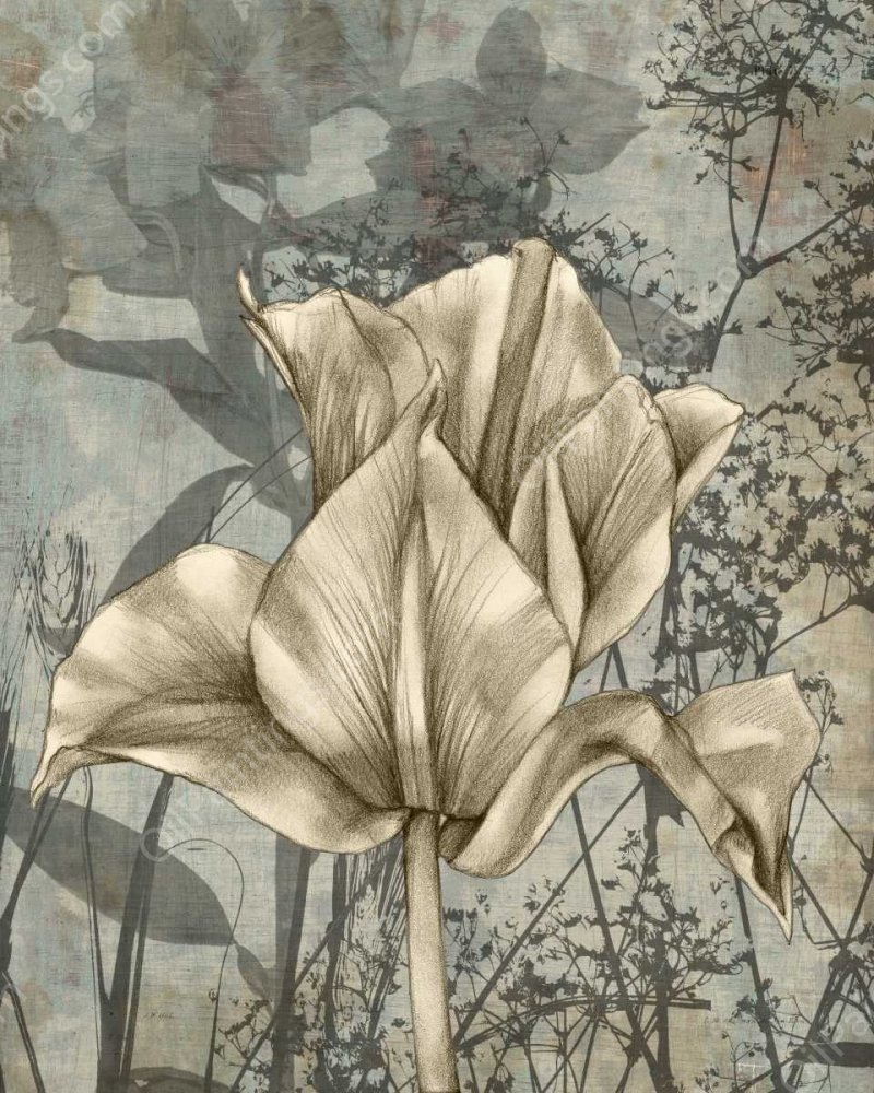 Tulip & Wildflowers IV by Jennifer Goldberger - Hand-Painted Oil Painting Reproduction