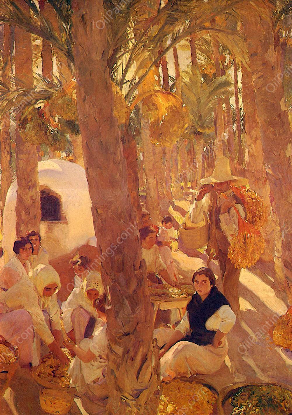 El Palmeral - Elche by Joaquin Sorolla y Bastida - Hand-Painted Oil Painting Reproduction