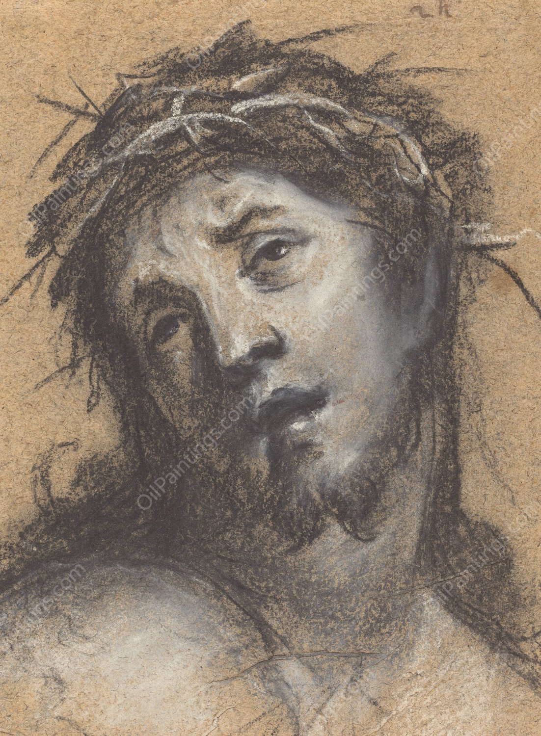 Head of Christ  by Johann Ulrich Mayr - Hand-Painted Oil Painting Reproduction