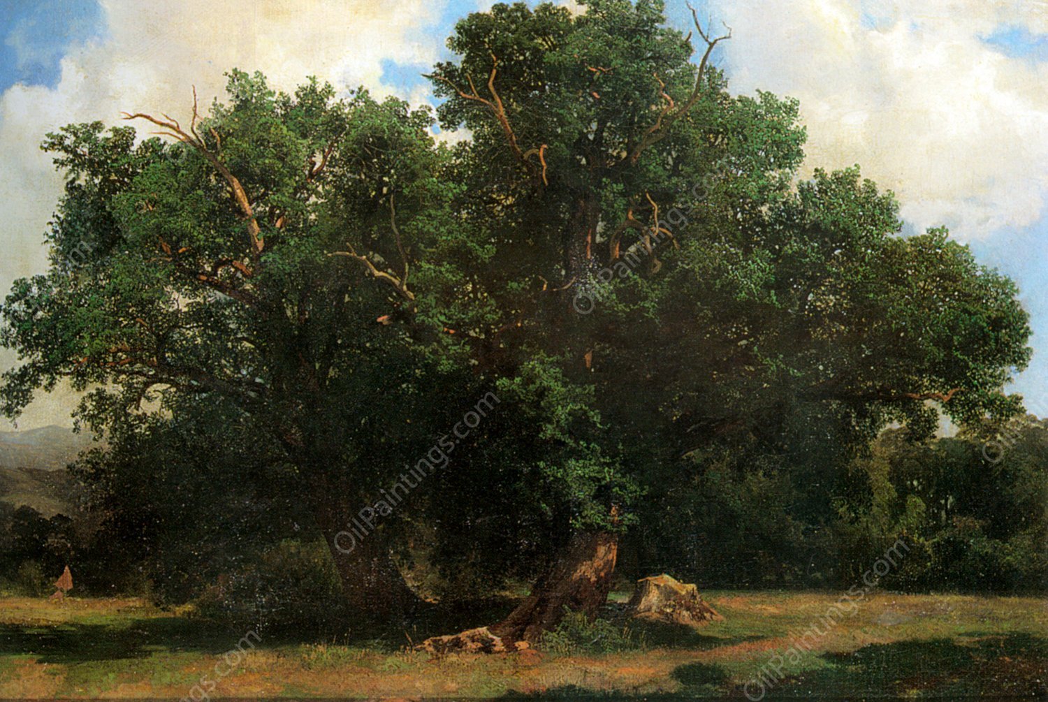 Oak Trees by Johannes Bosboom - Hand-Painted Oil Painting Reproduction
