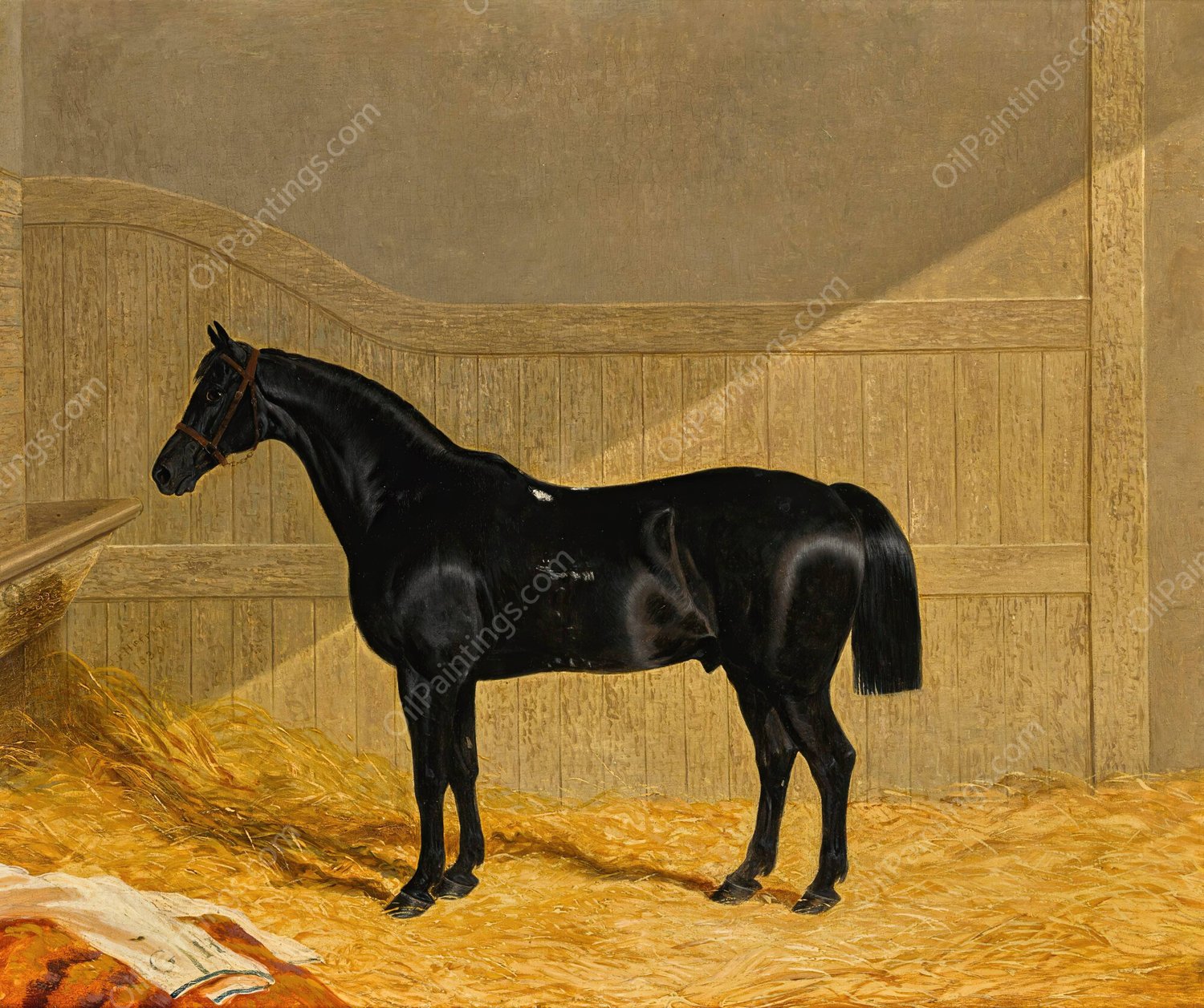 Black Horse In A Stable  by John Frederick Herring Snr. - Hand-Painted Oil Painting Reproduction