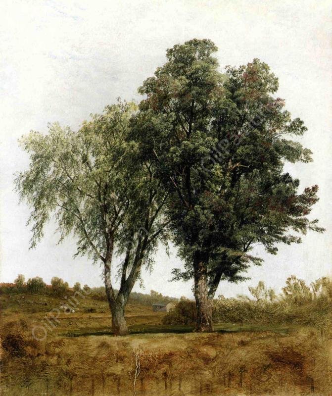 A Study of Trees by John Frederick Kensett - Hand-Painted Oil Painting Reproduction