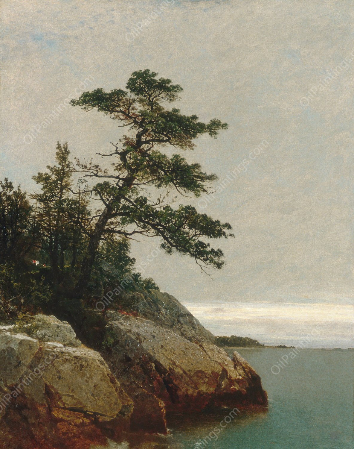The Old Pine, Darien, Connecticut  by John Frederick Kensett - Hand-Painted Oil Painting Reproduction