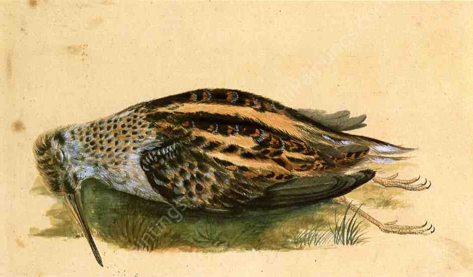 Woodcock by John James Audubon - Hand-Painted Oil Painting Reproduction
