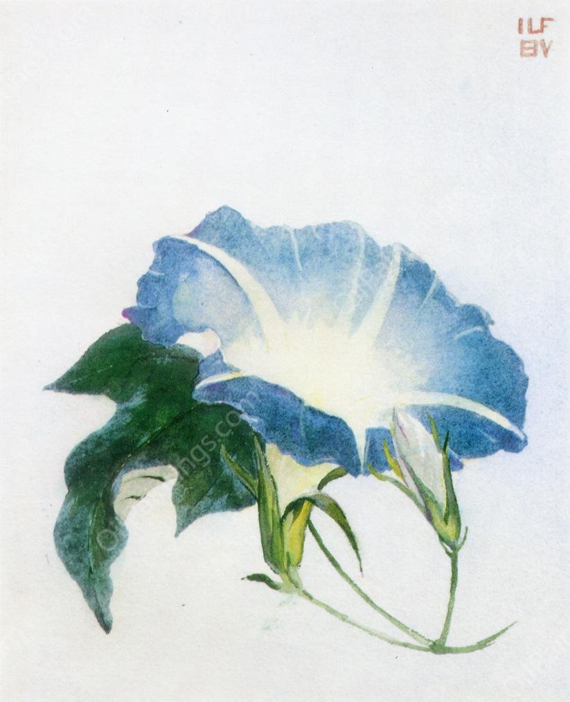 Ipomoea also known as Morning Glory by John La Farge - Hand-Painted Oil Painting Reproduction