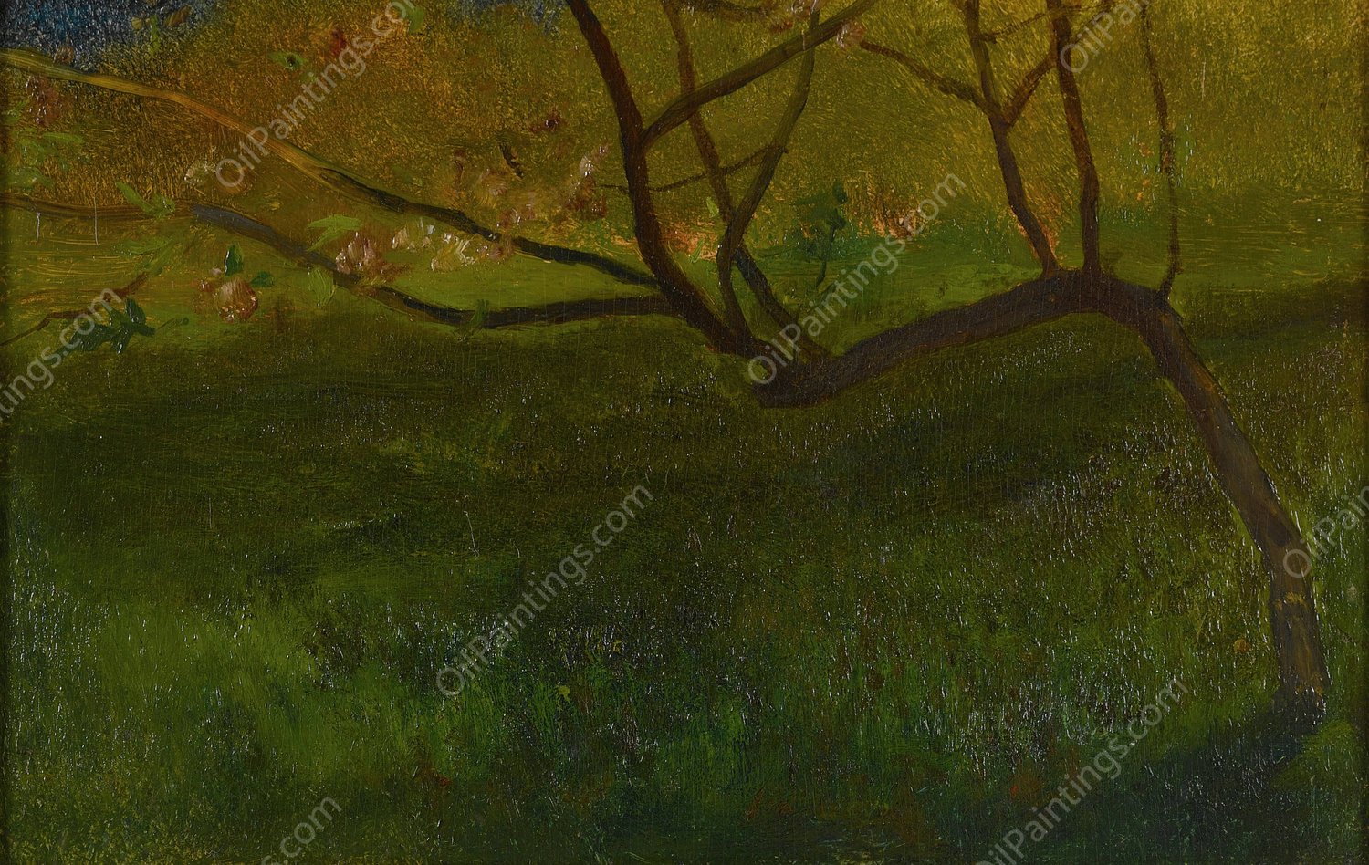 Study Of Apple Tree. Spring  by John La Farge - Hand-Painted Oil Painting Reproduction