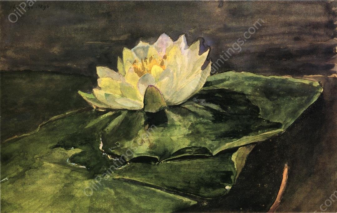 Water Lily by John La Farge - Hand-Painted Oil Painting Reproduction