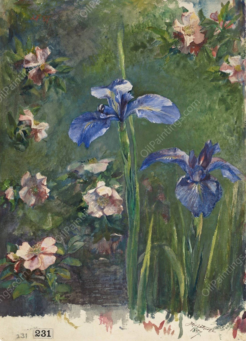 Wild Roses and Irises  by John La Farge - Hand-Painted Oil Painting Reproduction