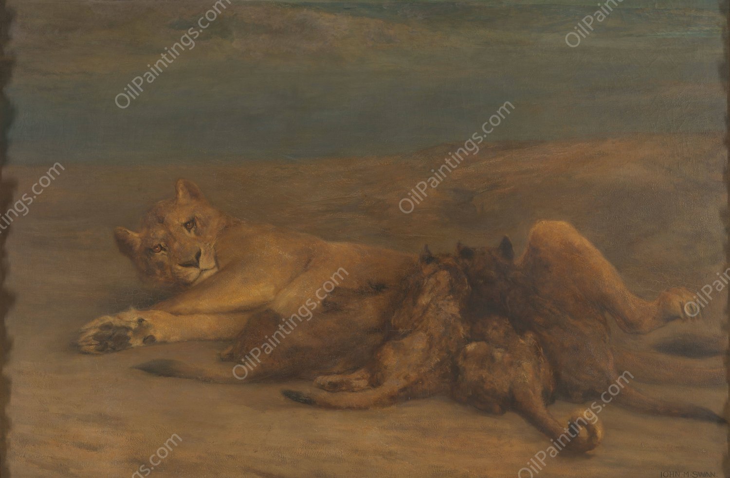 Een leeuwin met vier zogende welpen, genaamd 'Moederliefde' by John Macallan Swan - Hand-Painted Oil Painting Reproduction