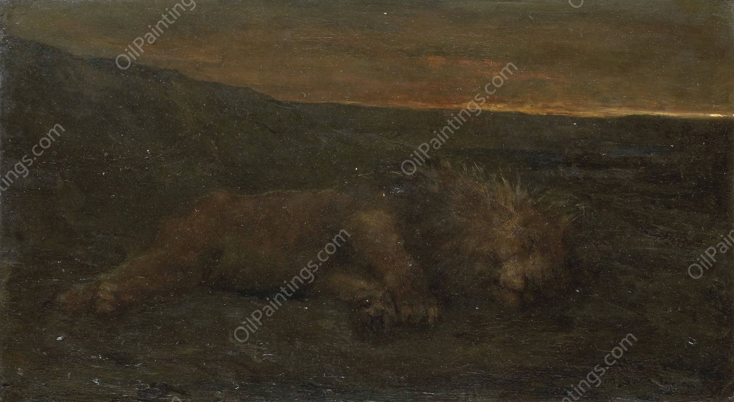 Sleeping Lion by Night  by John Macallan Swan - Hand-Painted Oil Painting Reproduction