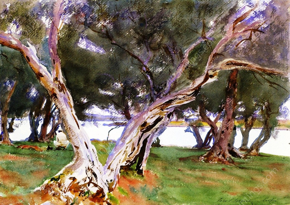 Olive Trees, Corfu by John Singer Sargent - Hand-Painted Oil Painting Reproduction