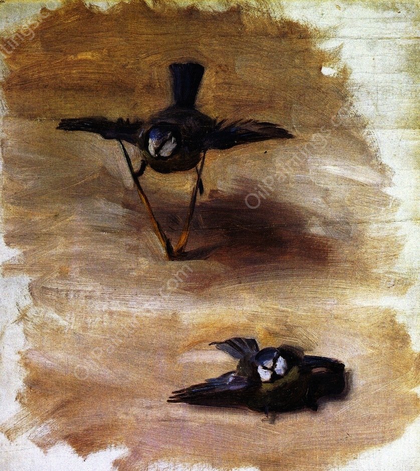 Studies of a Dead Bird by John Singer Sargent - Hand-Painted Oil Painting Reproduction