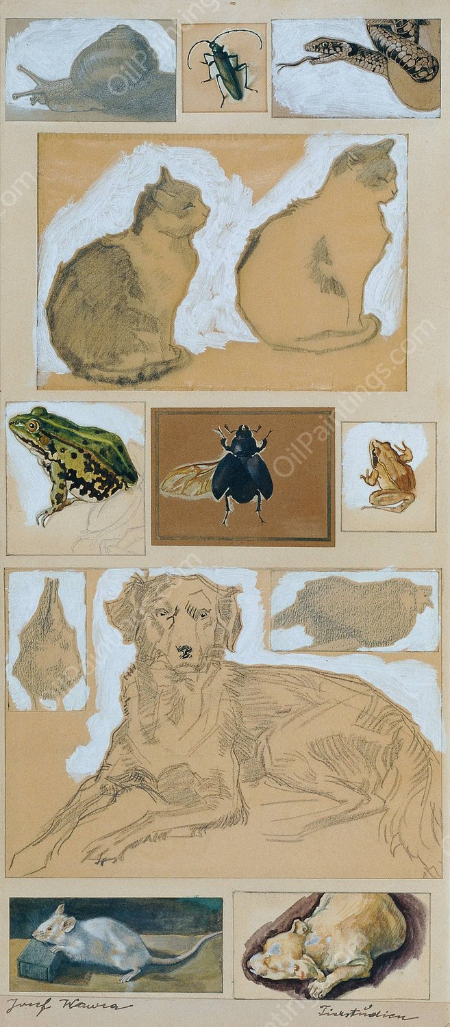 Tierstudien  by Josef Wawra - Hand-Painted Oil Painting Reproduction