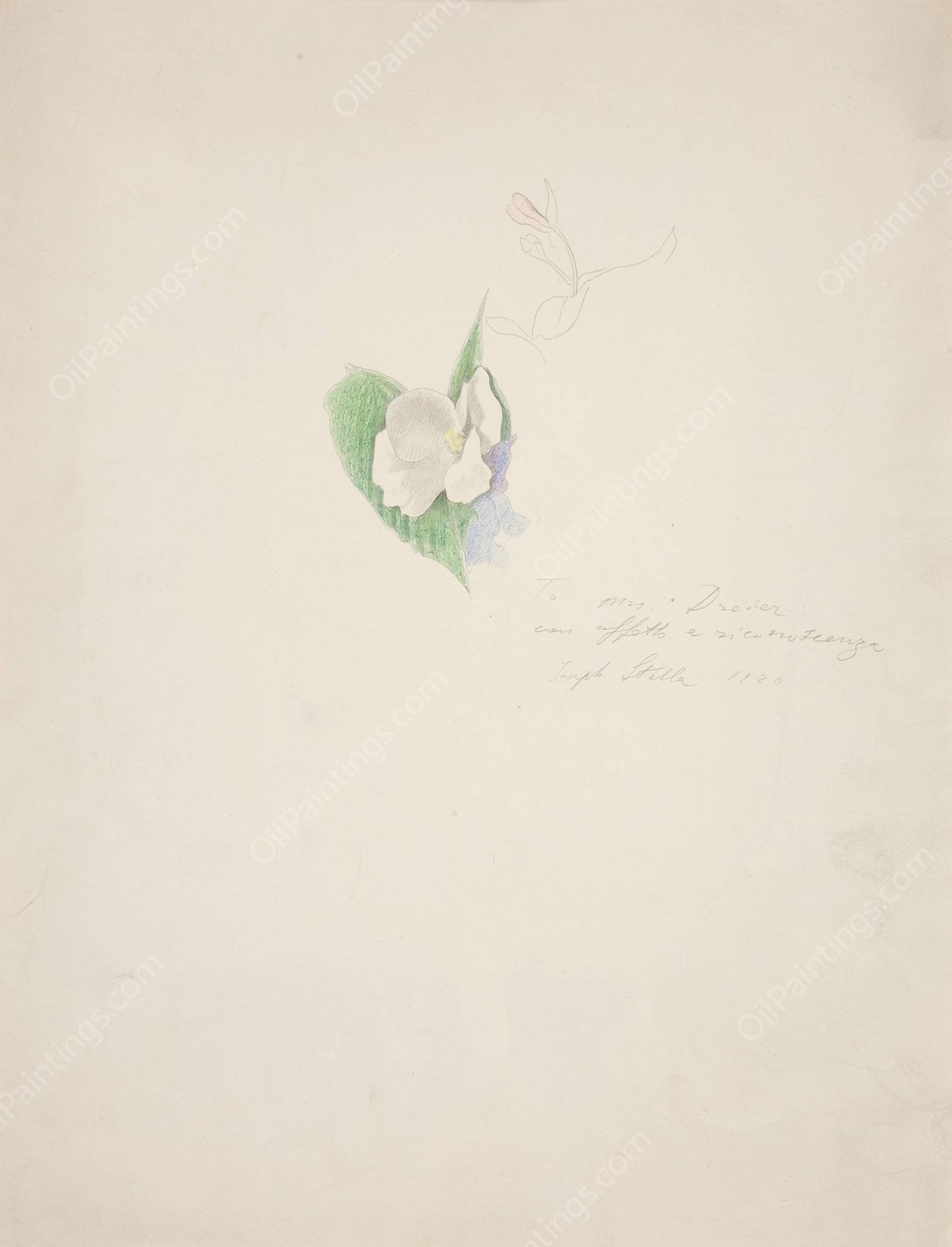 Flower  by Joseph Stella - Hand-Painted Oil Painting Reproduction