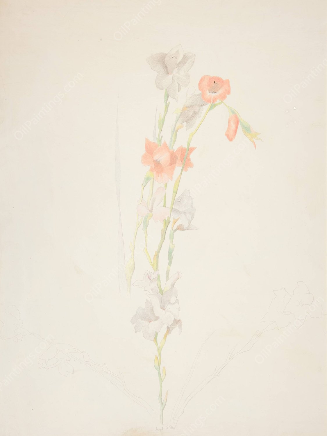 Flowers  by Joseph Stella - Hand-Painted Oil Painting Reproduction