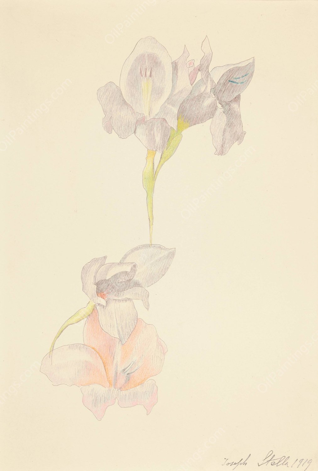 Gladioli  by Joseph Stella - Hand-Painted Oil Painting Reproduction