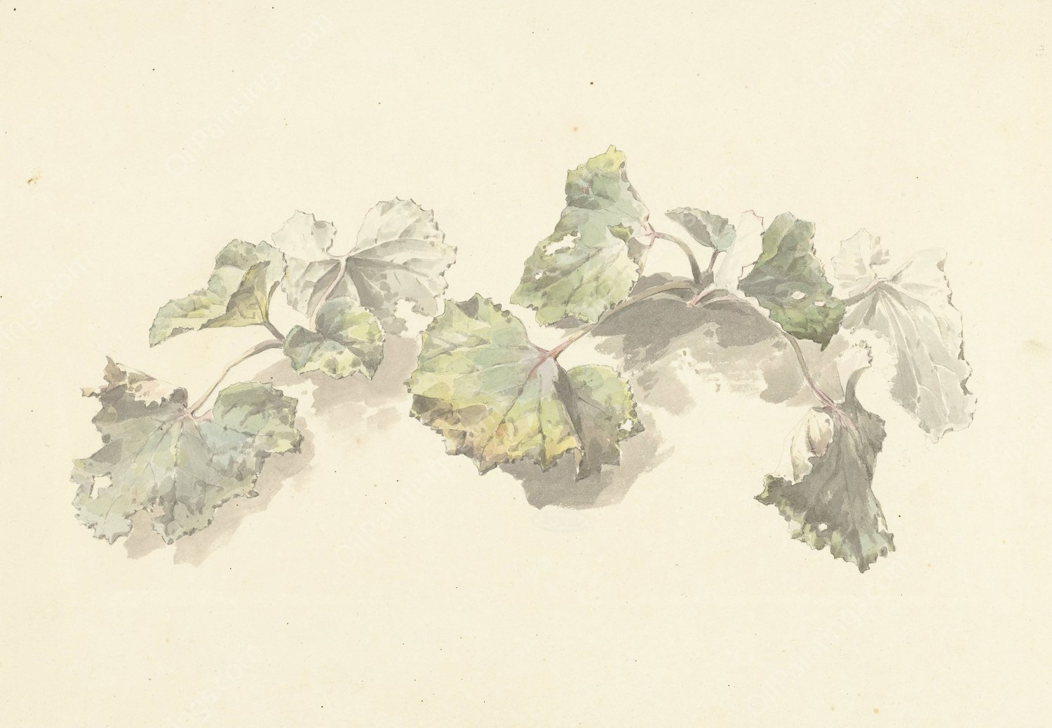 Studie van bladeren  by Josephus Augustus Knip - Hand-Painted Oil Painting Reproduction