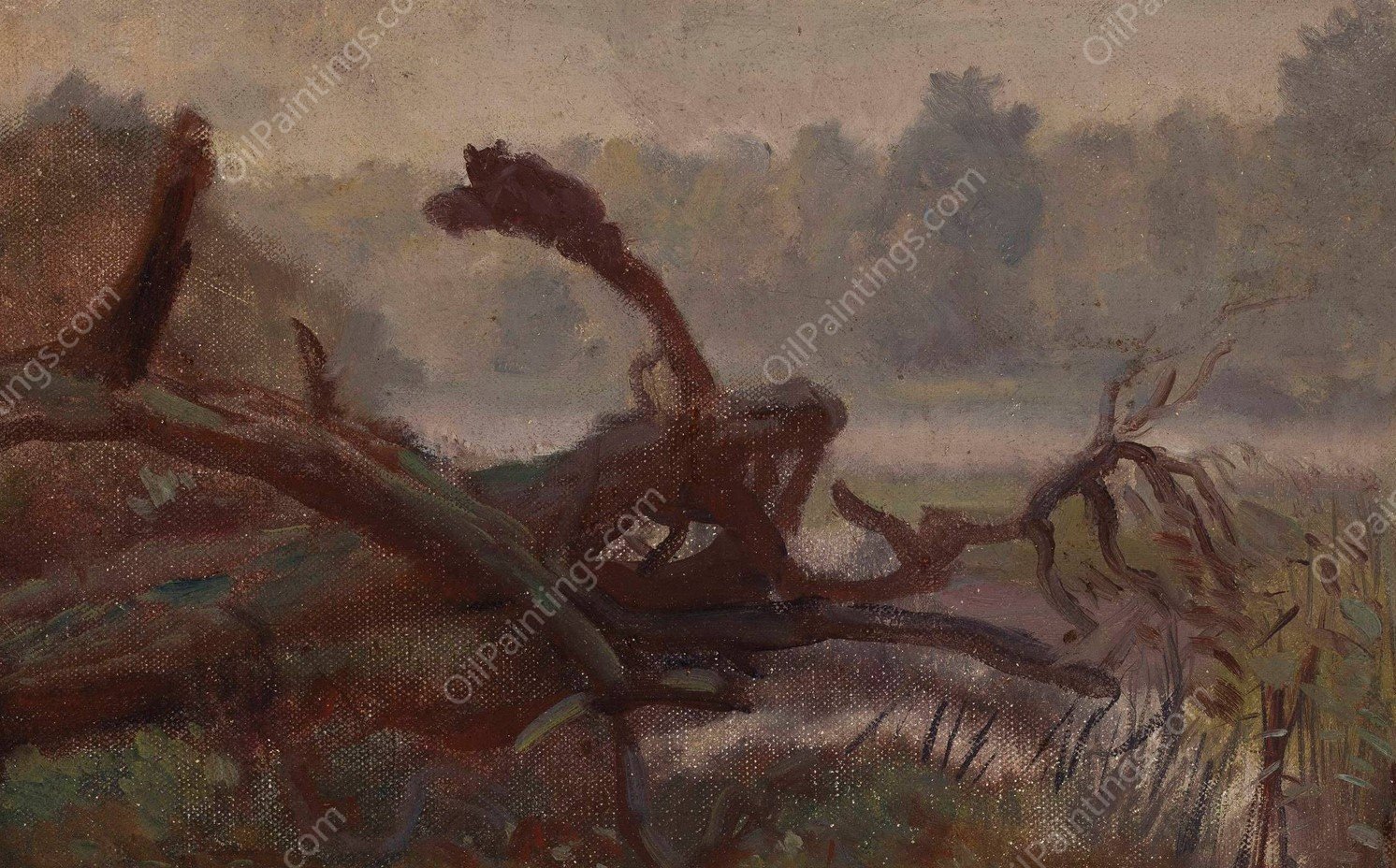Deep forest - Windthrows, sketch for a painting  by Jozef Chelmonski - Hand-Painted Oil Painting Reproduction