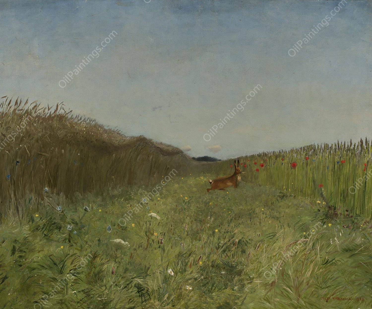 Hare in the grain  by Jozef Chelmonski - Hand-Painted Oil Painting Reproduction