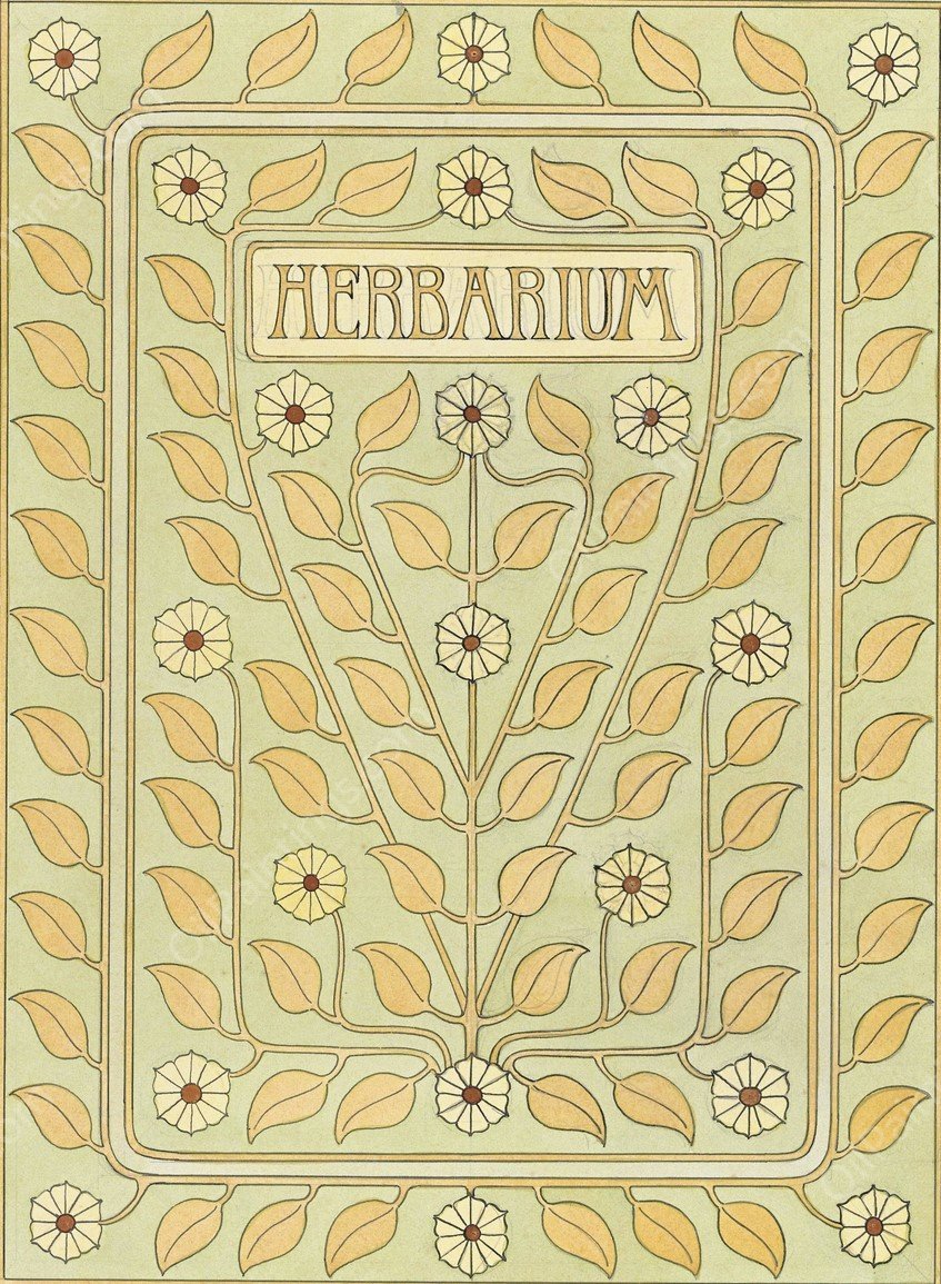 Ontwerp voor een omslag voor een herbarium  by Julie De Graag - Hand-Painted Oil Painting Reproduction