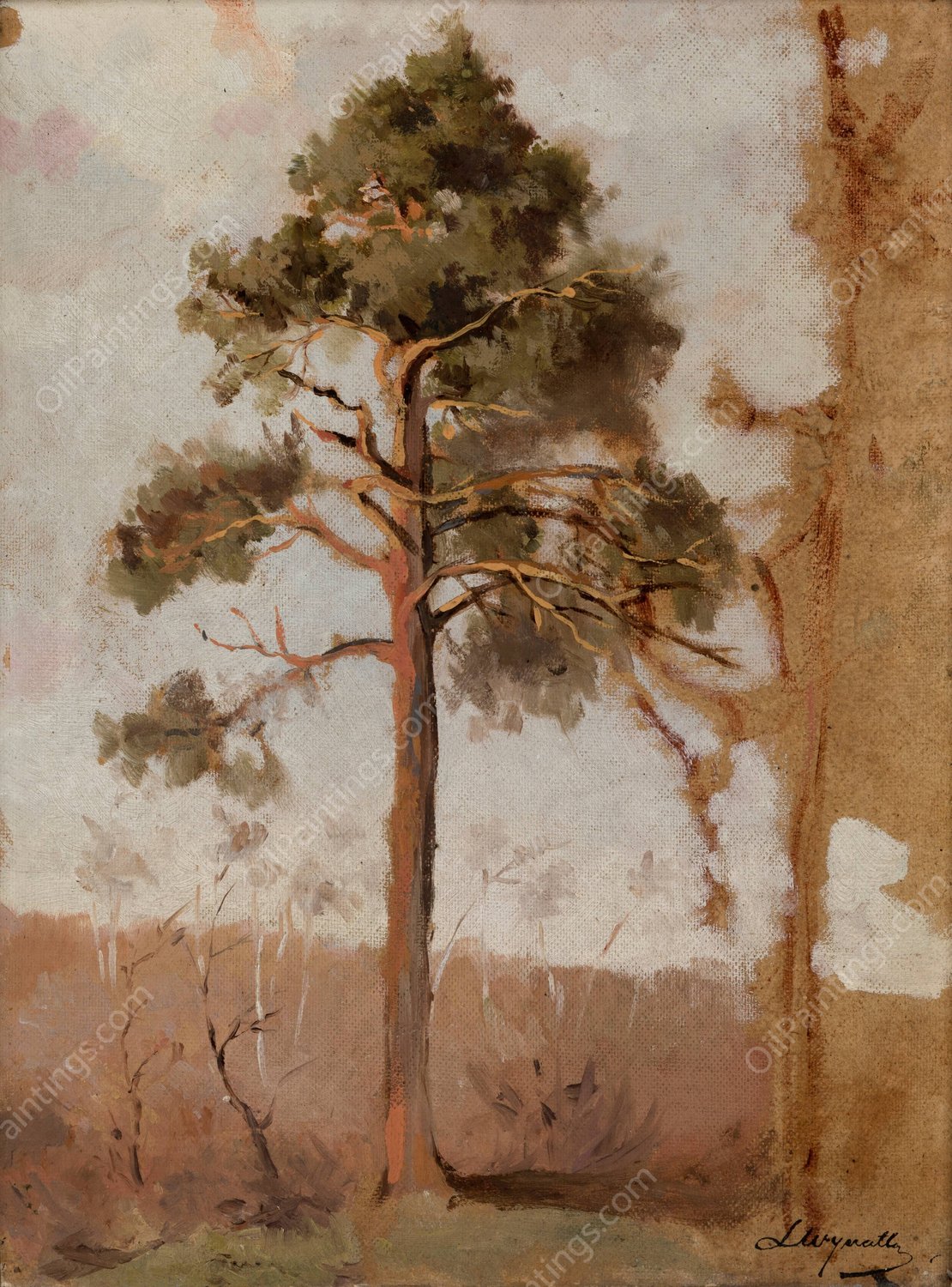 Pines at Polaga  by Leon Wyczolkowski - Hand-Painted Oil Painting Reproduction