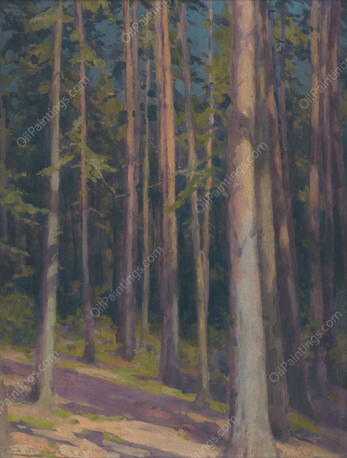 Fir forest  by Ludovit Cordak - Hand-Painted Oil Painting Reproduction