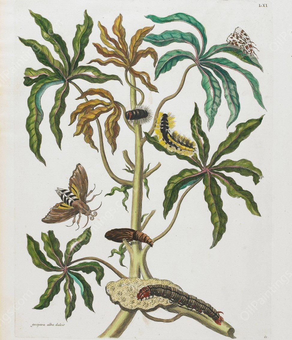 Caterpillars And Insects With Foliage  by Maria Sibylla Merian - Hand-Painted Oil Painting Reproduction