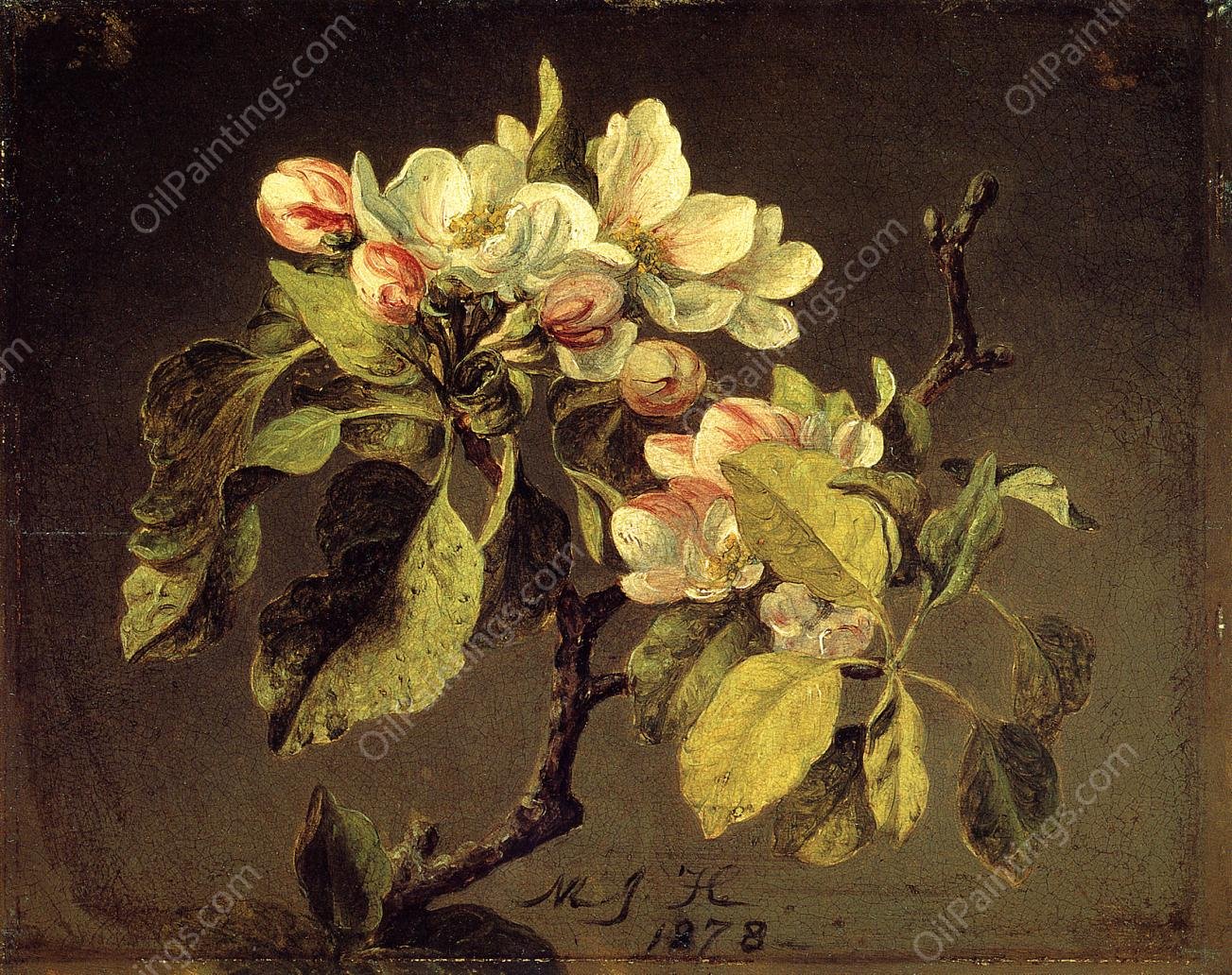 A Branch of Apple Blossoms and Buds by Martin Johnson Heade - Hand-Painted Oil Painting Reproduction