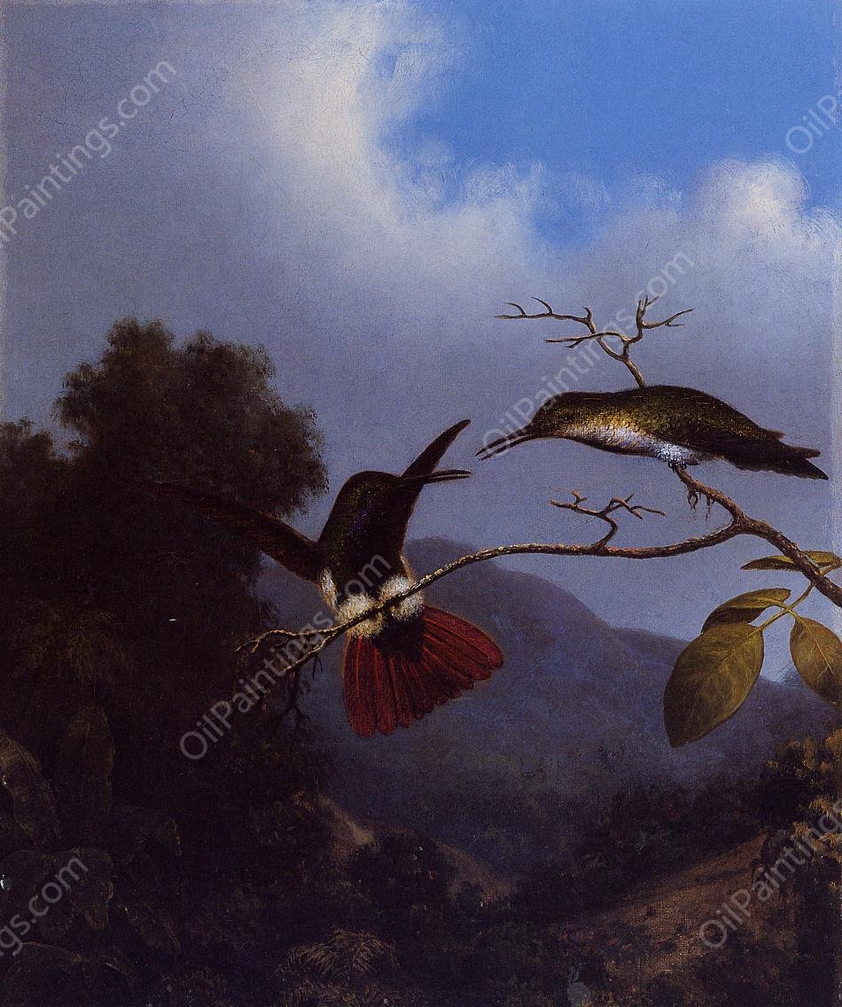 Black-Throated Mango by Martin Johnson Heade - Hand-Painted Oil Painting Reproduction