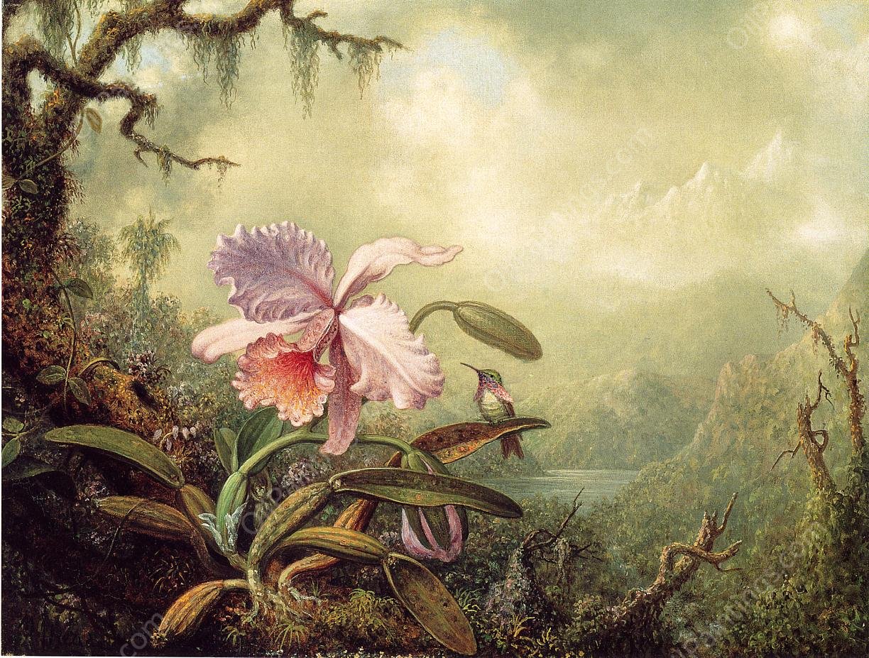 Heliodore's Woodstar and a Pink Orchid by Martin Johnson Heade - Hand-Painted Oil Painting Reproduction
