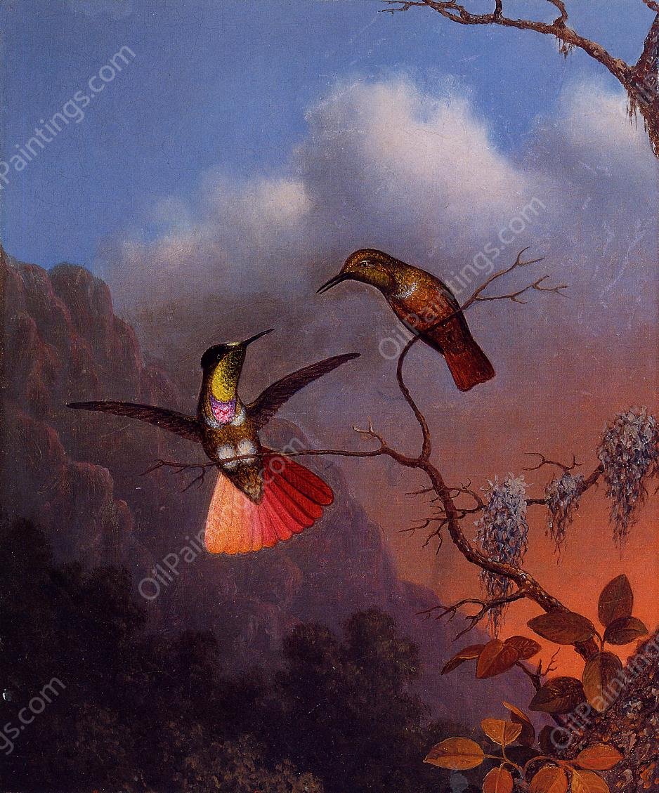 Hooded Visorbearer by Martin Johnson Heade - Hand-Painted Oil Painting Reproduction