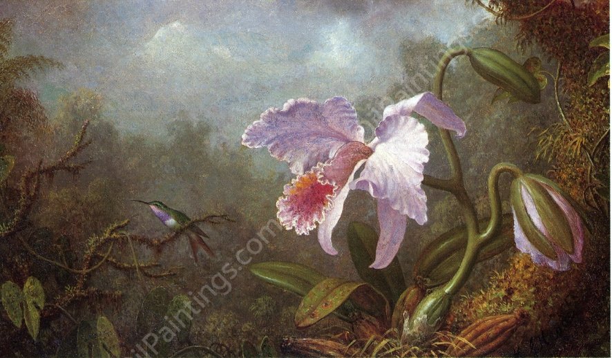 Hummingbird and Orchid by Martin Johnson Heade - Hand-Painted Oil Painting Reproduction