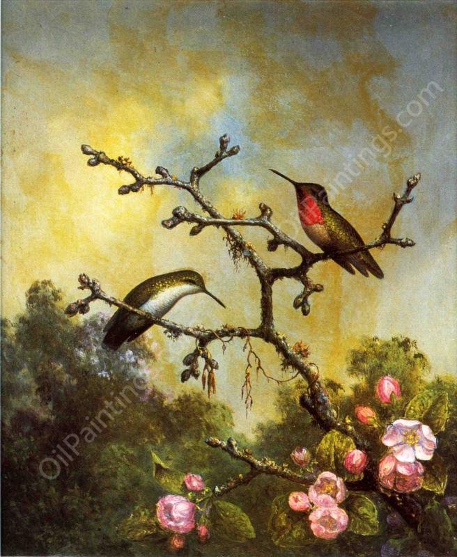 Ruby-Throated Hummingbirds with Apple Blossoms by Martin Johnson Heade - Hand-Painted Oil Painting Reproduction