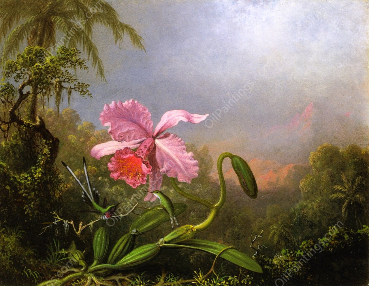 Two Hummingbirds by an Orchid 2 by Martin Johnson Heade - Hand-Painted Oil Painting Reproduction