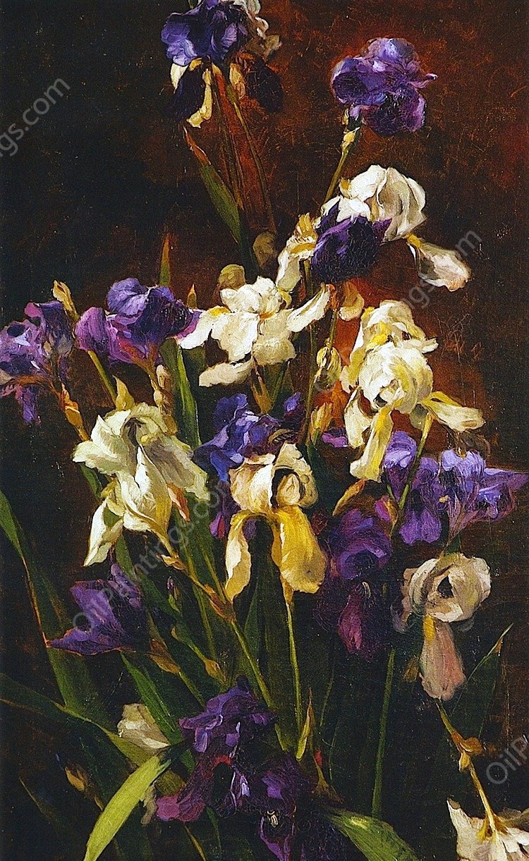 Irises by Mathias J Alten - Hand-Painted Oil Painting Reproduction