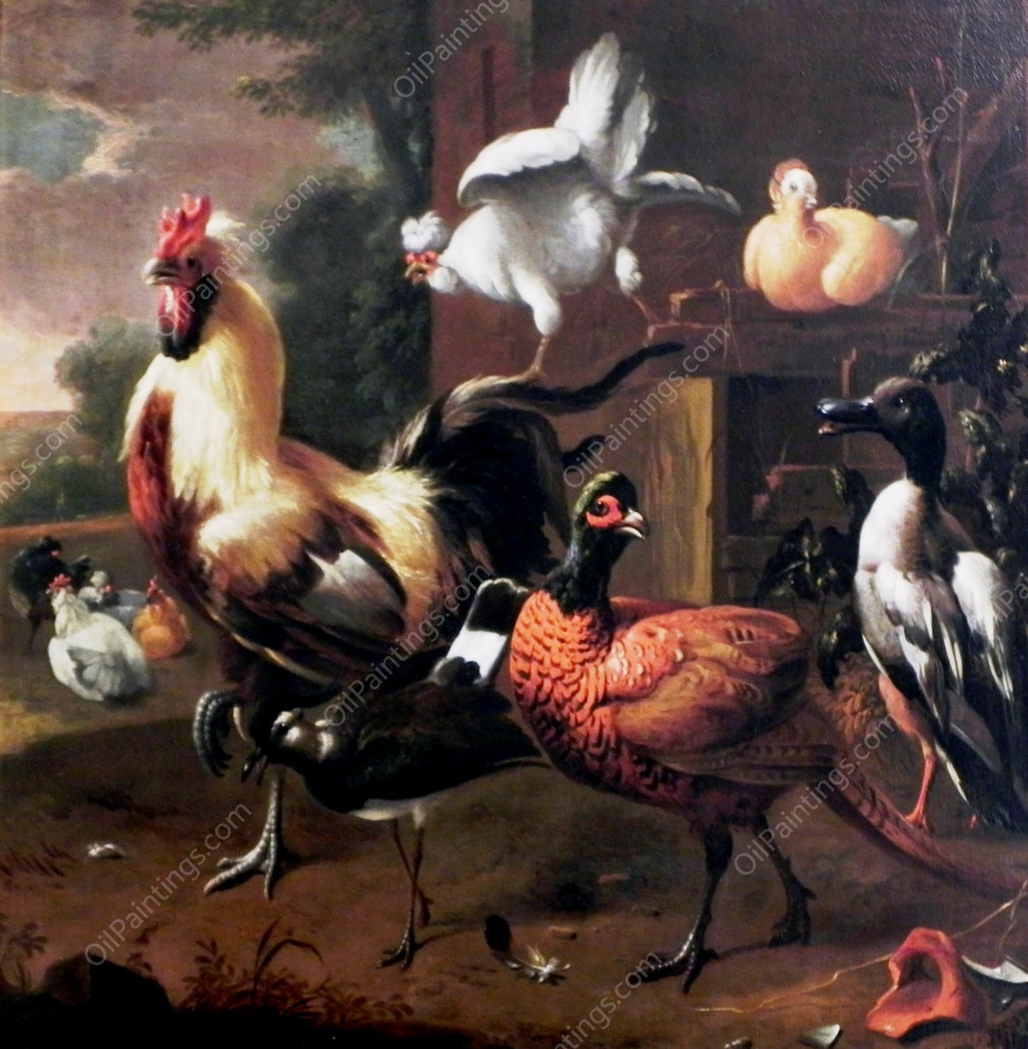 Chicken by Melchior De Hondecoeter - Hand-Painted Oil Painting Reproduction