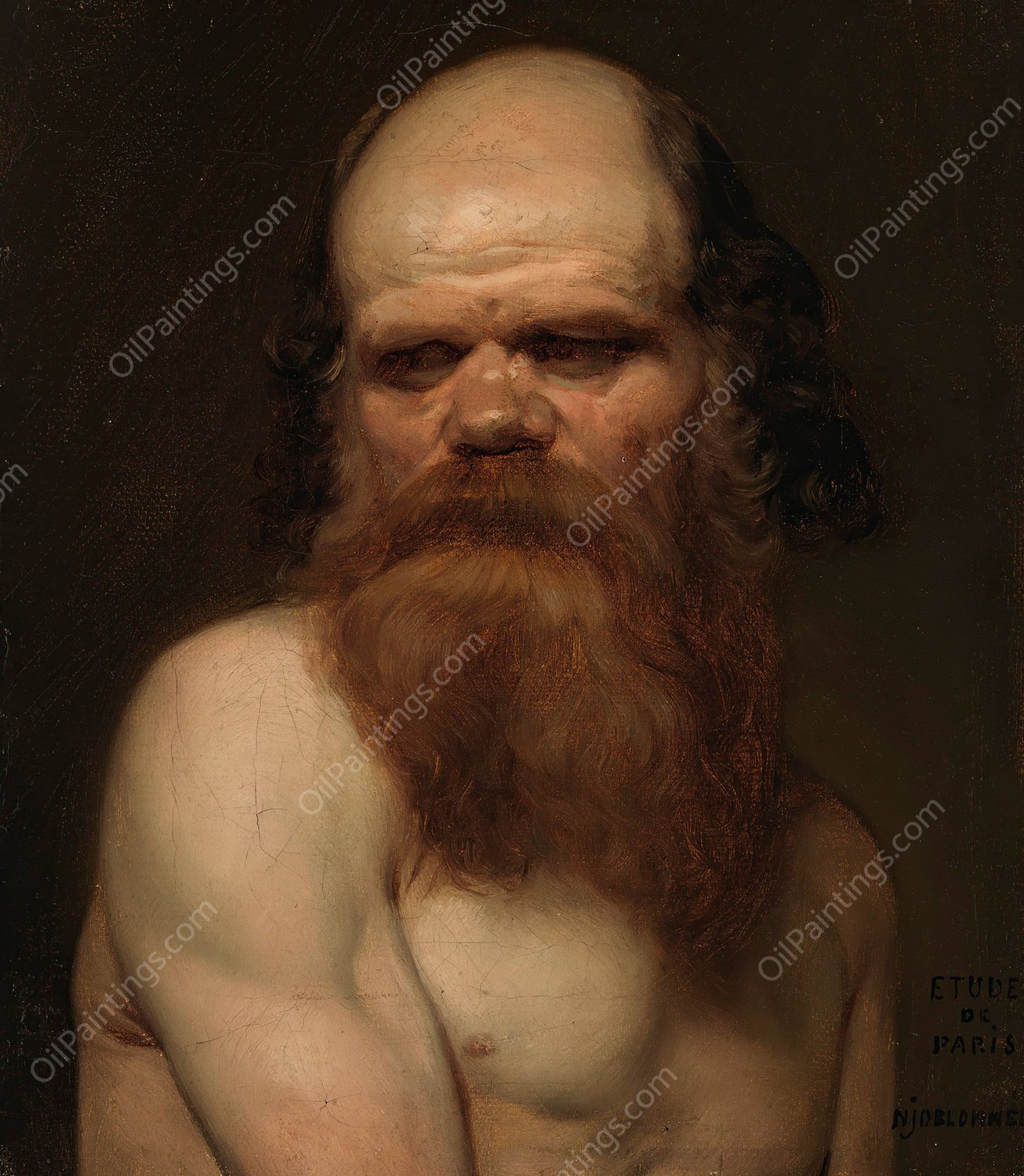 Bearded Man, Modelsketch  by Nils Jakob Olsson Blommer - Hand-Painted Oil Painting Reproduction