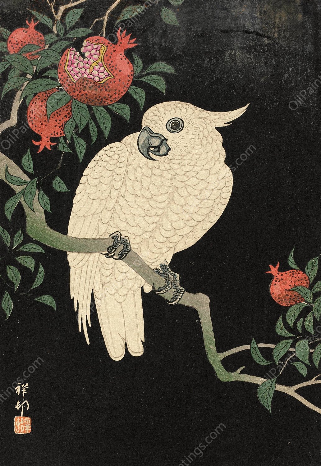 Cockatoo And Pomegranate  by Ohara Koson - Hand-Painted Oil Painting Reproduction