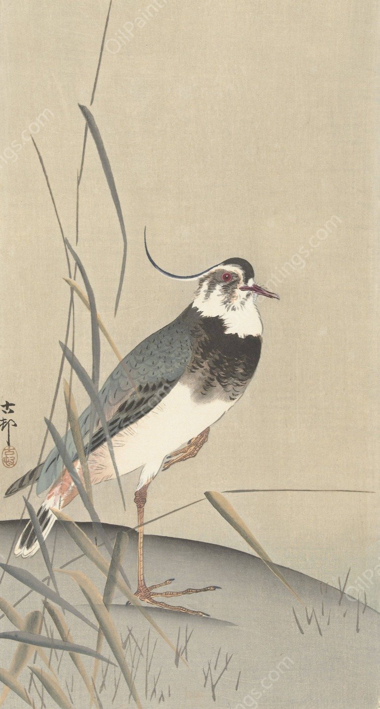 Lapwing and reed  by Ohara Koson - Hand-Painted Oil Painting Reproduction